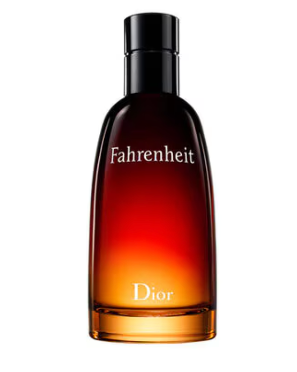 Fahrenheit Dior Eau de Toilette Masculino EDT 100ml